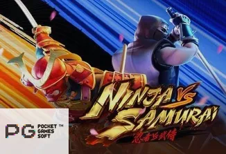 Ninja vs Samurai